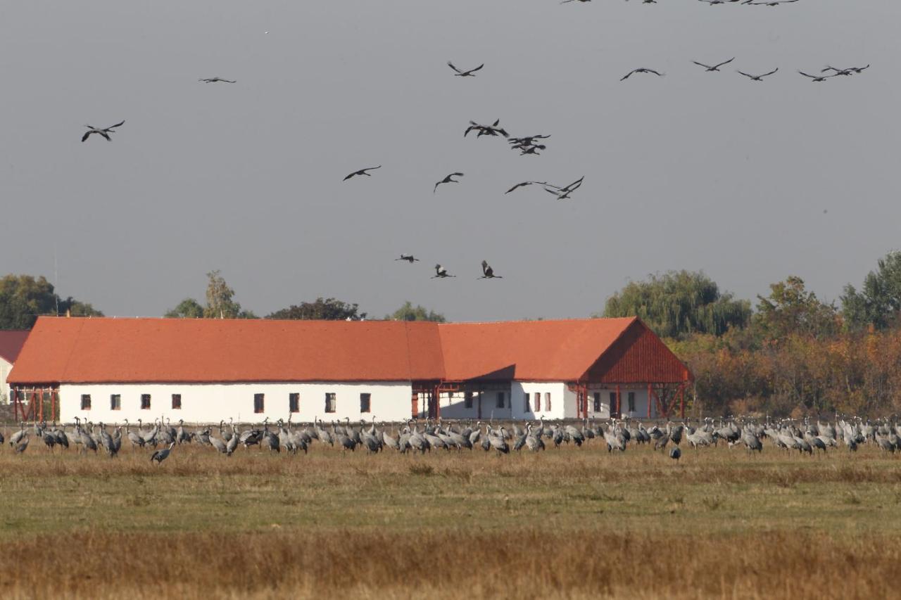 Bibic Nature Lodge Balmazújváros 외부 사진